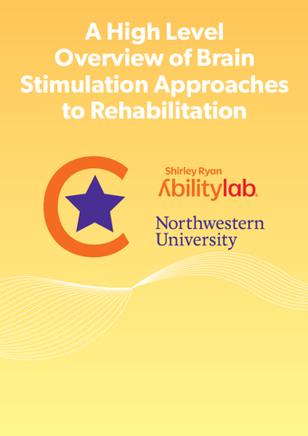 A High Level Overview of Brain Stimulation Approaches to Rehabilitation